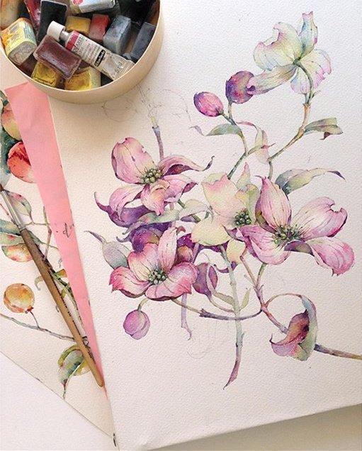 ���m�Ͽ����������ľ�������侫�����